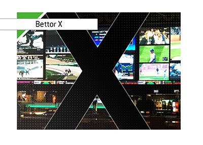 bettor x|How 'Bettor X' made it a wild World Series in Las Vegas.